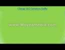 SEO Company in Delhi.avi