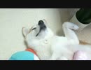 気持ちええのぉ～