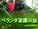 ベランダ菜園日誌 2015年10月9日