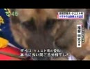 直轄警察犬「クエスト号」引退式