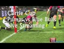 Pumas vs Blue Bulls Live Stream