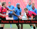 Watch Blue Bulls vs Pumas Online