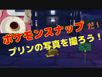 【2人で実況】 ☆ ポ ケ パ ー ク ☆ 【Part11】