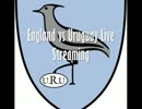 Cameras Stream England vs Uruguay online