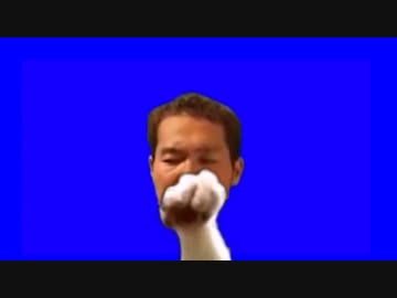 アルパカ先輩.mp4