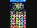 【パズドラ】ヘル降臨(黒冥魔)超地獄級　無課金光ラーPT