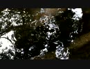 【癒し系ＢＧＭ】 清流　せせらぎ 波紋① 【自然音】