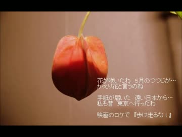 [MEIKO] サマンサ・エッガーの９月