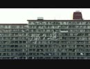 毛玉 - 帰り道