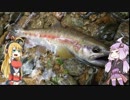 【VOICEROID実況】釣然なるままに、ゆかマキ～2015秋～【魚釣り】