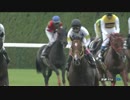 【競馬】2015年 オパールステークス ビッグアーサー【OP】