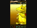 【パズドラ】５０００万DL達成ガチャ後半17連【ゴッドフェス】