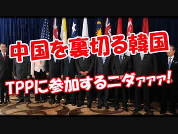 【中国を裏切る韓国】 TPPに参加するニダァァァ!