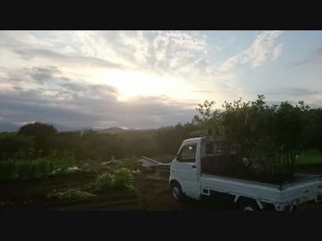 はじめての農家生活　その38