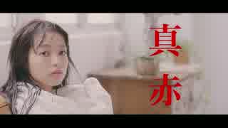 My Hair is Bad - 真赤