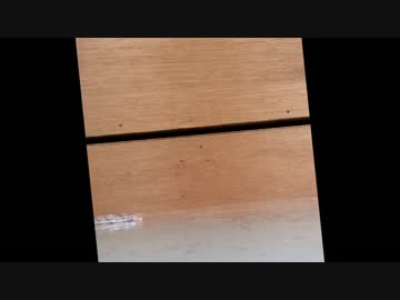 きょぽはら　―教職ﾎﾟｰﾄﾌｫﾘｵ・ﾊﾗｽﾒﾝﾄ―