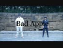 【のらちゅん】Bad Apple!!【踊ってみた】