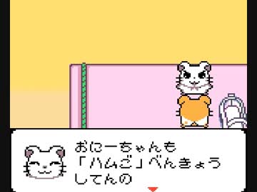 こっ↑ここ↓ハム太郎2　ハムちゃんず大集合でちゅ.mp8