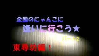 全国のにゃんこに逢いに行こう４１