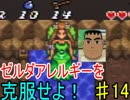 【神トラ】ゼルダアレルギーを克服せよ！【初見実況】part14