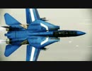 Ace Combat Assault Horizon - F-14D Super Tomcat