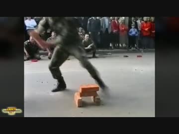 ２０１５軍隊の痛いシーン