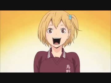 ひなたとやっちゃんまとめ ニコニコ動画