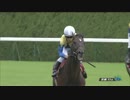 【競馬】2015年 京都大賞典 ラブリーデイ【GⅡ】