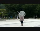 【みずは】shake it！【踊ってみた】