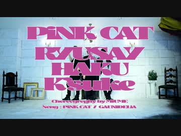 【流星ヤロウ・ハク・K’suke】　PiNK CAT　【踊ってみた】