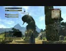 【DDON】テルサイクロ討伐～プリーストの場合～