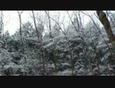 二年目狩猟生活（その４６）