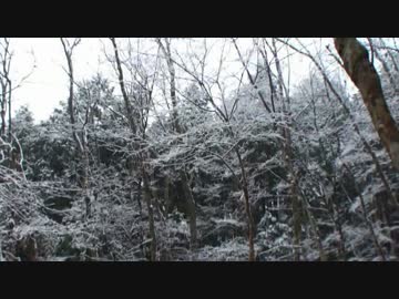 二年目狩猟生活（その４６）