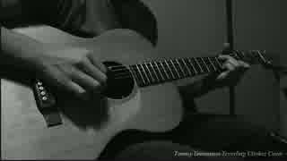 Tommy Emmanuel Traveling Clothes 演奏してみた