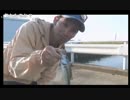 10.12井上の茨城県潮来で魚釣り② .mp4