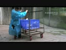 2015年10月10日中継のハイライト 飼育員さんは15年生まれの赤ちゃんたちを青い籠に入れて運動場へ。