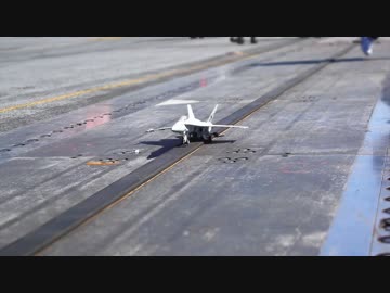 空母ロナルド・レーガンを見に行ってきた