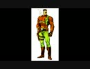 パニッシャー (ノーミス、手榴弾禁止) 8/10 - Guardroid 2 ～ Last Stage 前半