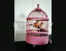 I love you bird by Lianne Rowe