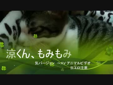 【ぬこ】涼くんの夜の本気モミモミ【微エロ】