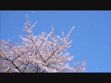 ずっと、友達