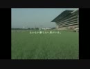 horse miss the victory.wmv