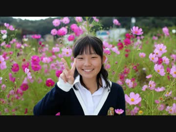 【３０(みーれぃ)】　ドレミファロンド　【踊ってみた】