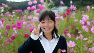 【３０(みーれぃ)】　ドレミファロンド　【踊ってみた】