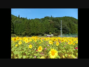 チャウのぶらり旅？～千種羊羹を求めてサイクリングの巻？！～