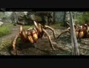 【Skyrim】スカイリム地味プレイ#72【字幕】