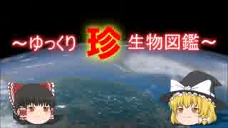 ～ゆっくり　珍　生物図鑑～　新・第14回