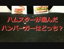 ハムスターが選んだハンバーガーはどっち？「モスVSハムタス 」第91回