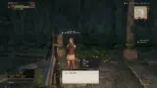 【実況】DDONでひと狩りいこうぜ！【ドラゴンズドグマオンライン】＃３９