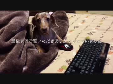 秋刀魚の刺身とローストビーフ【2分の1鉄のフライパンシリーズ】